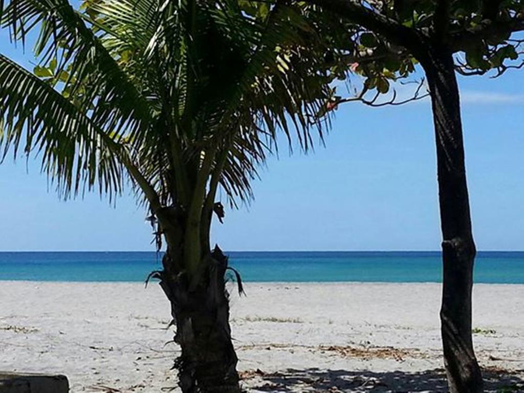 Rama International Beach Resort Botolan Exteriér fotografie